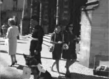 Peditório da Cruz Vermelha em Lisboa