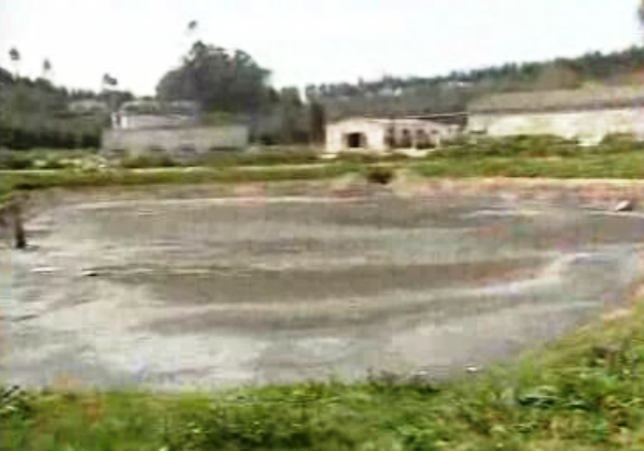 Despejo de detritos a céu aberto