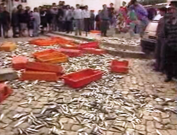 Manifestação de pescadores