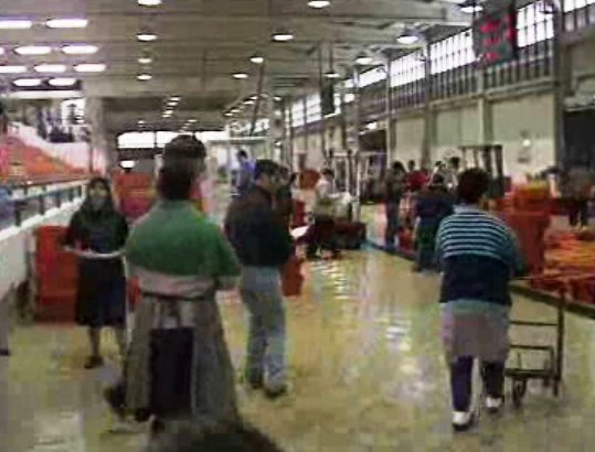 Protesto de pescadores