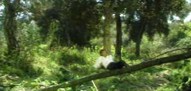 Ricardina e Marta Ep. 47 – IV