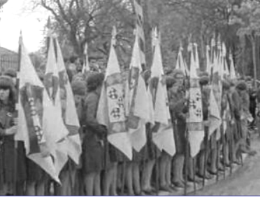 Comemoração do Dia da Comunidade Luso-Brasileira