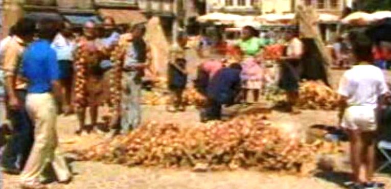 Feira das Cebolas em Coimbra