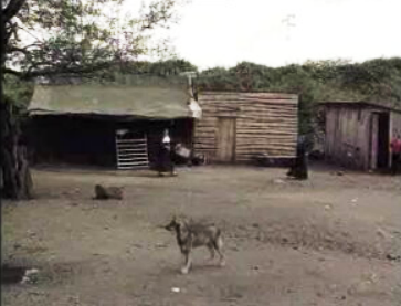 Expulsão de ciganos em Ponte de Lima