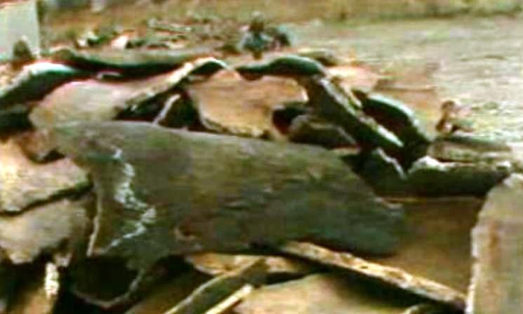 Panorama da indústria corticeira