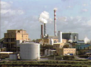 Ribatejanos criticam a poluição