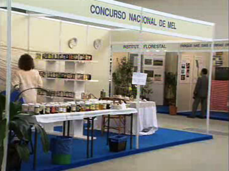 Exposição de Apicultura