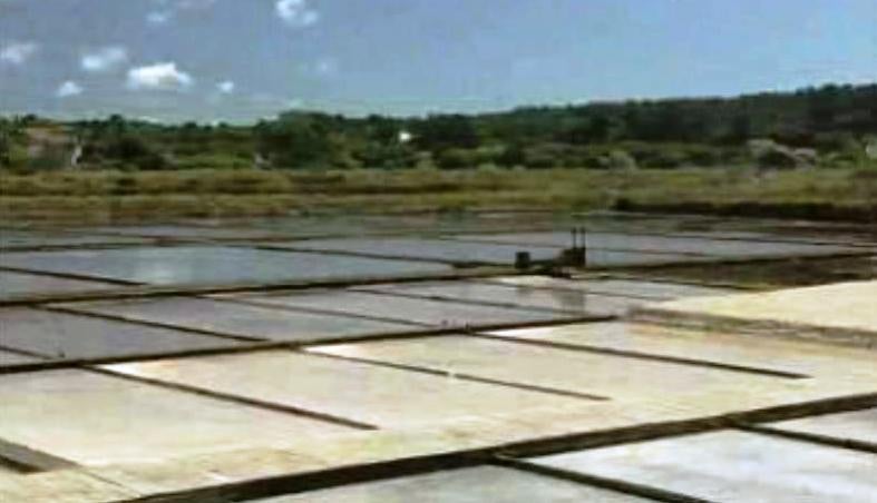 Figueira da Foz, Varanda Atlântica