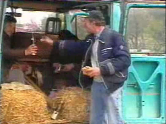 Manifestação de agricultores europeus em Bruxelas