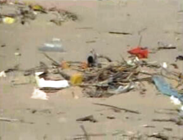 Poluição nas praias portuguesas