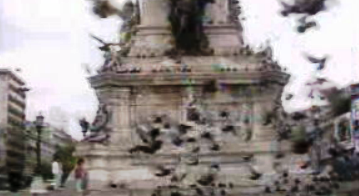 Pombos de Lisboa