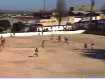 Reação do Alverca sobre campos relvados