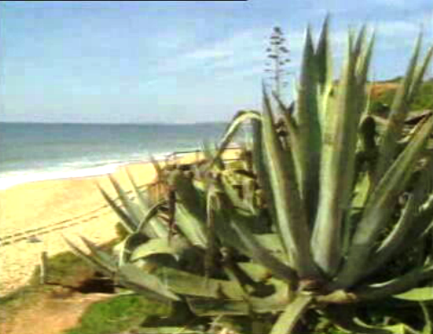 Risco ambiental na Praia dos Tomates