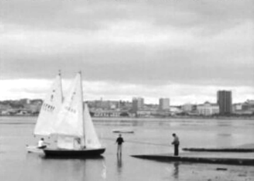 Campeonato Mundial de Vela