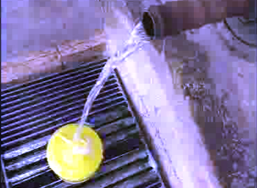 Água inquinada em Leiria