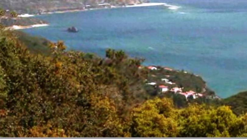 Sebastião da Gama, o poeta da Arrábida