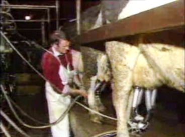 Medidas preventivas em relação à BSE