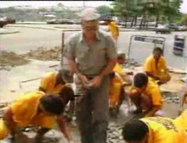 Calceteiros portugueses no Brasil
