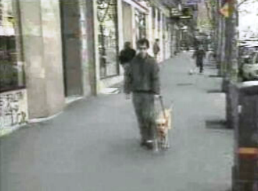 Qualidade de vida dos cegos em Espanha