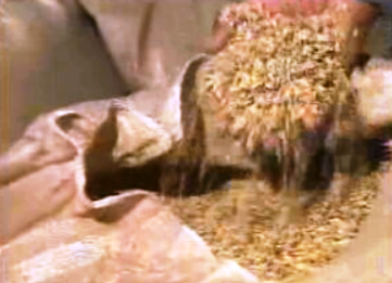 Produção de cereais em Portugal e na CEE