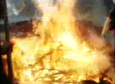 Origem dos incêndios florestais