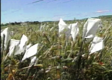 Estação de melhoramento de plantas