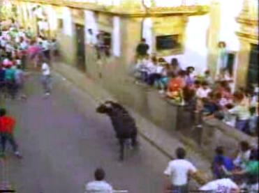 Festa da Vaca das Cordas