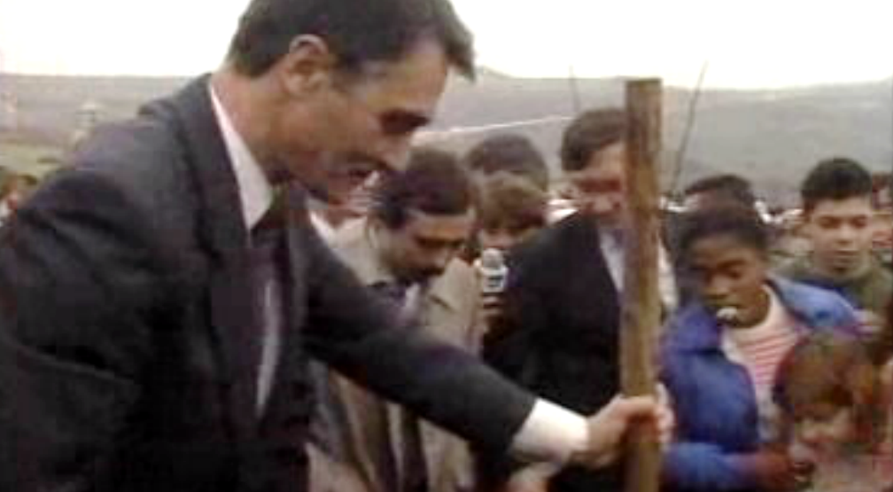 Campanha de arborização