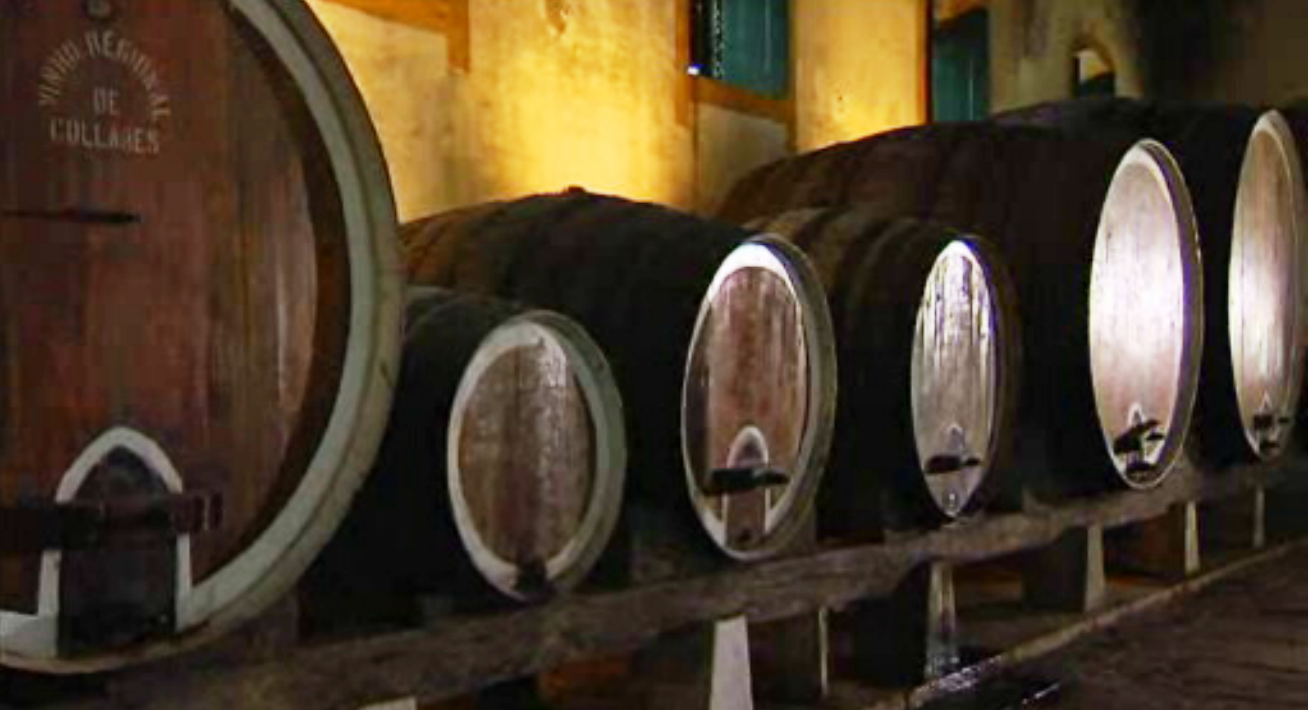 O Vinho Também Tem História