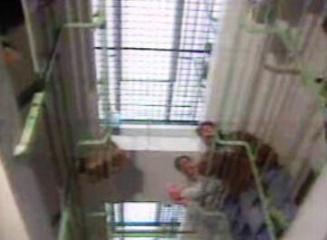 Mortes nas cadeias portuguesas