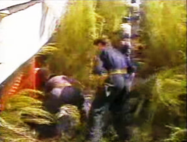 Balanço do acidente rodoviário em Viseu