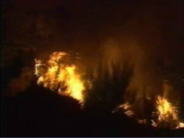 Balanço dos fogos florestais