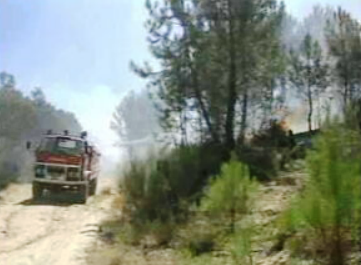 Incêndios florestais em Trás-os-Montes