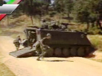 Caracterização das Forças Armadas