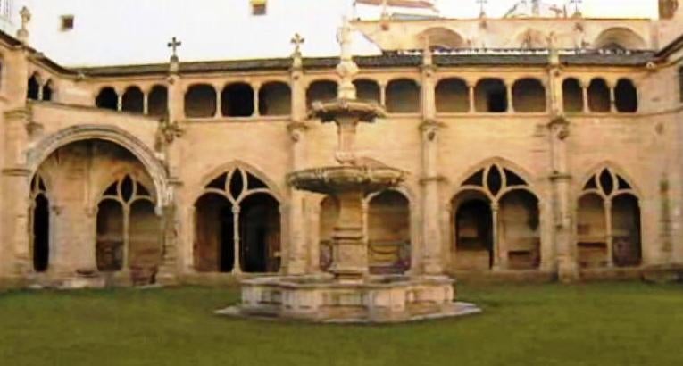 Onde nasceu D. Afonso Henriques?