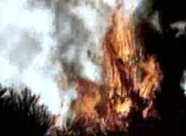 Consequências dos incêndios