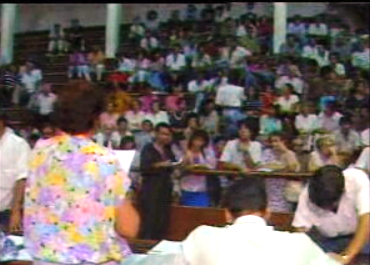 Leilão para Feira da Luz