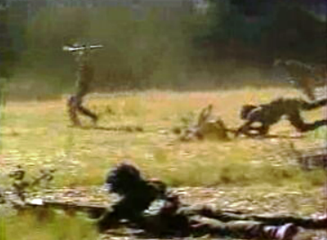 Prova militar “Patrulha Nuno Álvares”