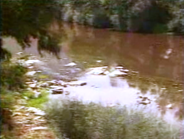 Complexo do Cachão polui o Rio Tua