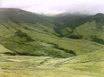 Estatuto das Regiões Autónomas