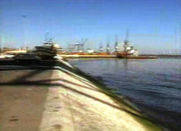 Novo regulamento ambiental