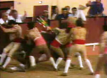 Novo regulamento para a Tauromaquia