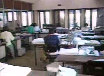 Trabalhadores da Segurança Social com alergias