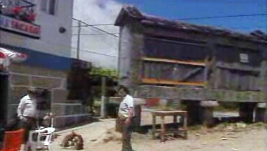 Férias dos emigrantes