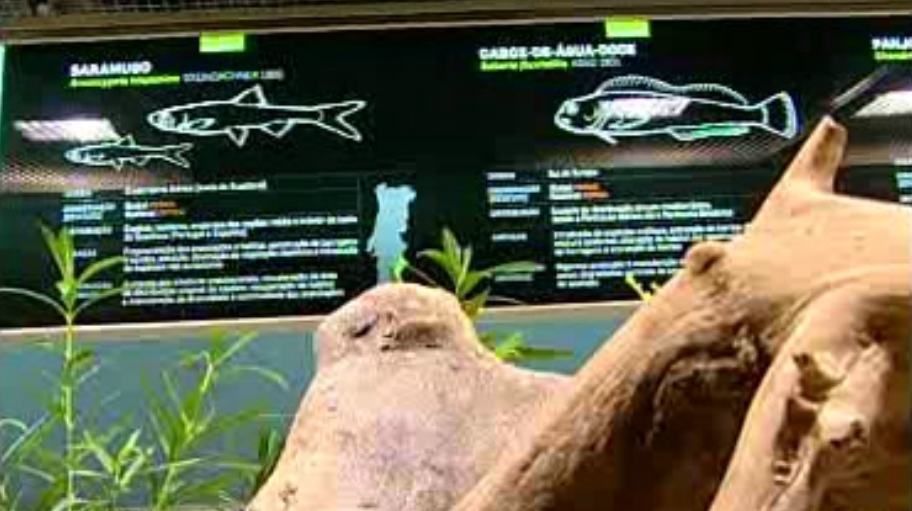 Inauguração do Fluviário de Mora I