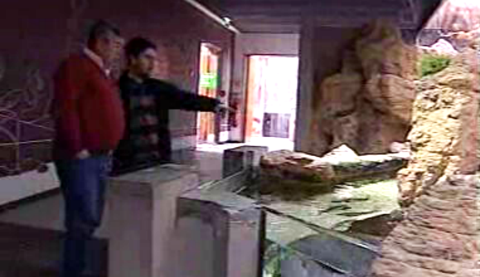 6º aniversário do Fluviario de Mora