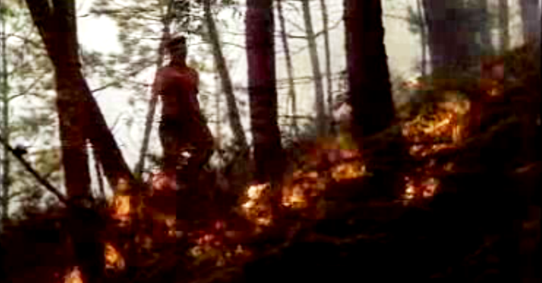 Estudo sobre combate a incêndios