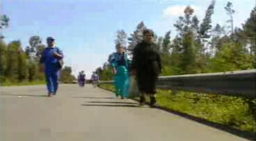 Peregrinos de Fátima