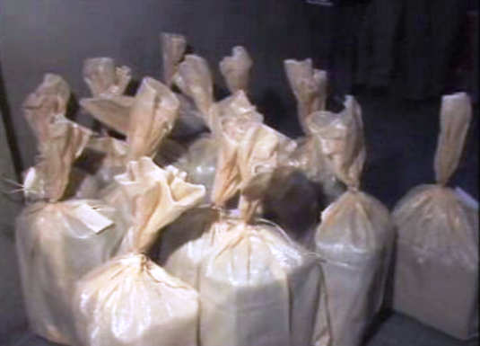 Dia Mundial contra a droga