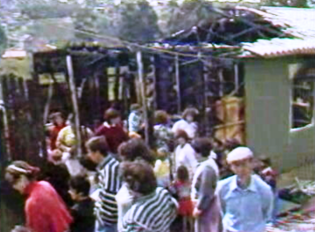 Incêndio em São Pedro da Cova